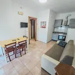 Oceano 20 A 180 Mt Dal Mare Apartment *